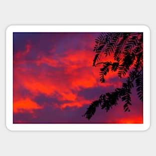 Neon Sunset Clouds Sticker